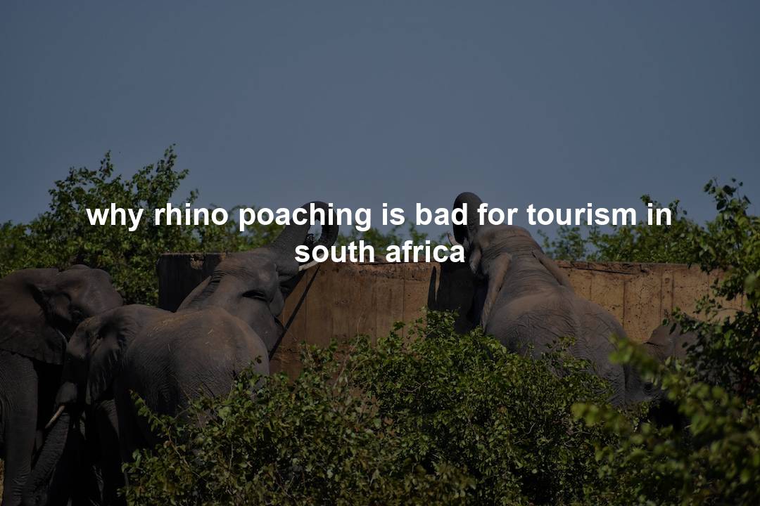 why rhino poaching is bad for tourism in south africa